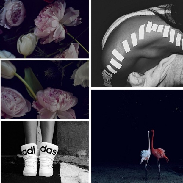 one room challenge nicole cohen