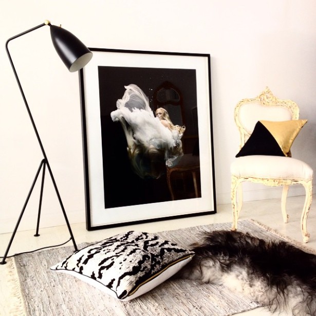 citizen atelier styling christine dovey art zena holloway black rooster