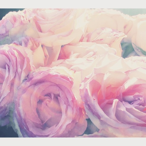 flowers valentines day christine dovey