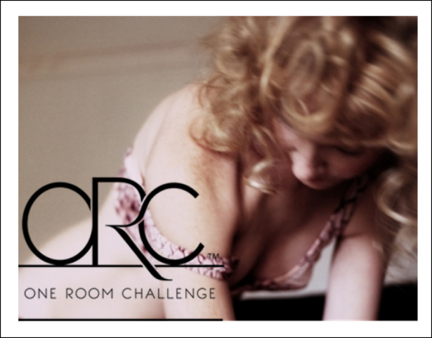 one room challenge banner christine dovey photograph maude arsenault