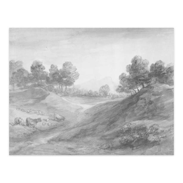 anewall shaded landscape