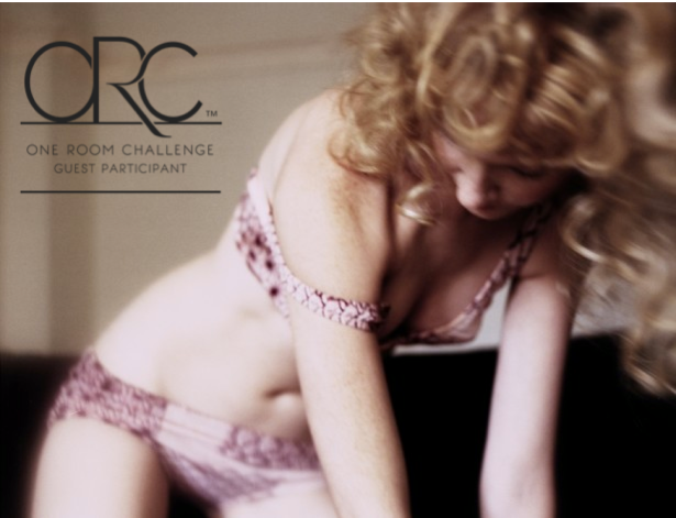 one room challenge christine dovey