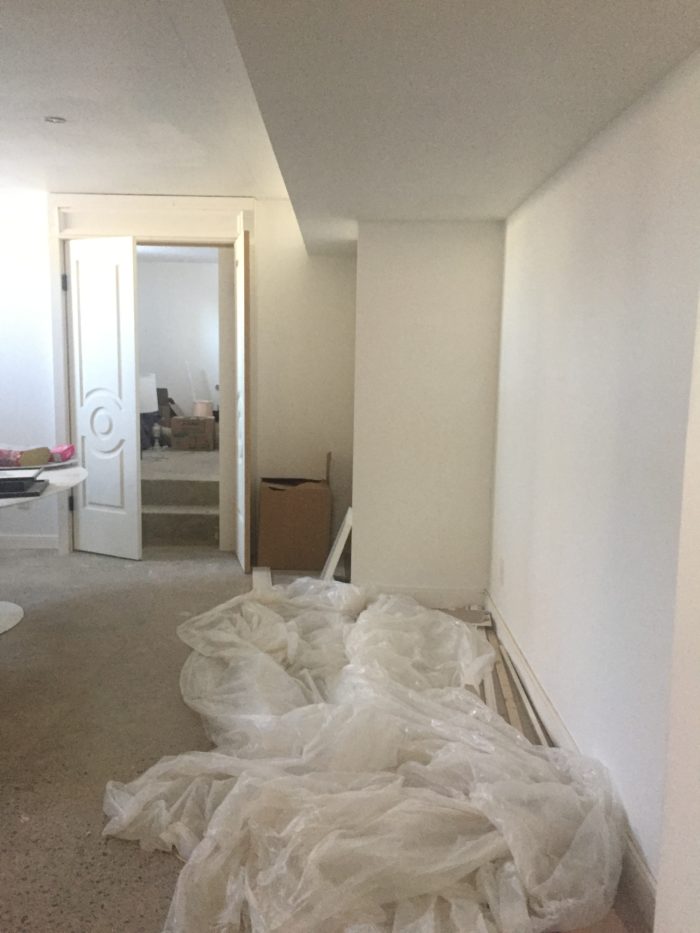 christine dovey one room challenge basement