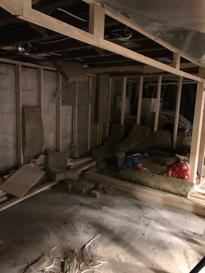 one room challenge christine dovey basement