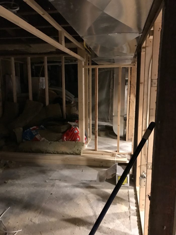 one room challenge christine dovey basement